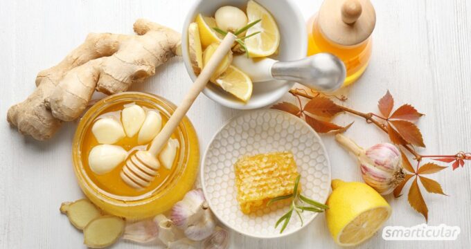 Fermentierter Ingwer in Honig ist ein vielseitiges und gesundes Topping, das sowohl dein Porridge verfeinert als auch als süßer Zusatz in Tee schmeckt. Die ätherischen Öle und Harze des Ingwers verbinden sich mit den wertvollen Nährstoffen des Honigs und entfalten durch die Fermentation eine noch stärkere Wirkung. Gleichzeitig macht der Prozess die Ingwerknolle länger haltbar.
