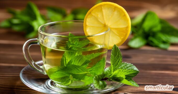 Pfefferminztee ist ein unglaublich vielseitiges Getränk, das bei zahlreichen Beschwerden zur Linderung eingesetzt werden kann.