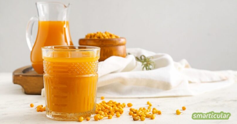 Mit diesem einfachen Rezept lässt sich vitaminreicher Sanddorn-Saft selber machen - ganz ohne Entsafter.