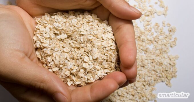 Haferflocken selbst herstellen – das klingt erstmal nach Aufwand. Vor allem, wenn man hört, dass dafür eine Getreidequetsche nötig ist. Noch ein Küchengerät anschaffen, das Platz wegnimmt und nicht ganz günstig ist? Das war auch mein erster Gedanke. Warum ich meine Meinung geändert habe und wie auch du profitieren kannst, erfährst du hier.