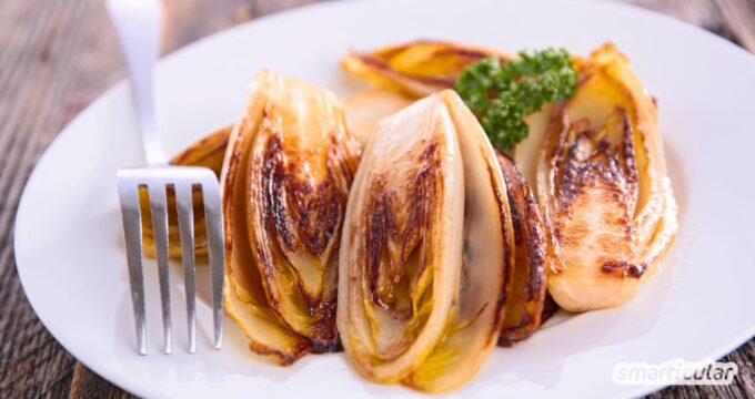 Gebratener Chicoreé als gesundes und köstliches Wintergericht lässt sich mit diesem Rezept schnell und einfach zubereiten.