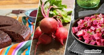 Von Kuchen bis Ketchup reicht die Liste der Rote-Bete-Rezepte, die hier auf dich warten - für mehr Abwechslung mit der gesunden Knolle.