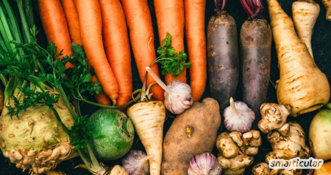 Wurzelgemüse sind insbesondere im Winter eine Quelle für Vitamine, Mineralstoffe und Co. Erfahre alles Wichtige über die wertvollen Knollen!