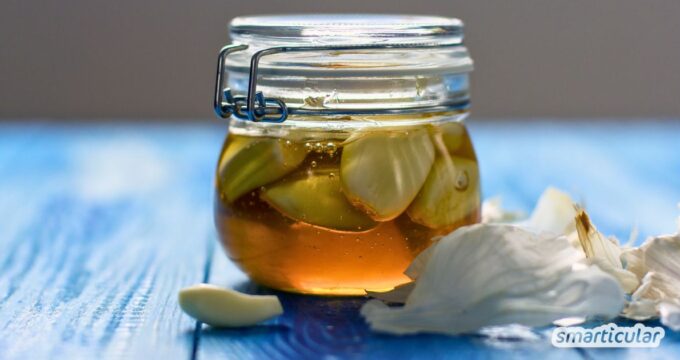 Mit ein wenig Geduld lässt sich ein süß-scharfer Knoblauch-Honig kinderleicht selber machen - als vielseitige Würze und Gesundheitsbooster.