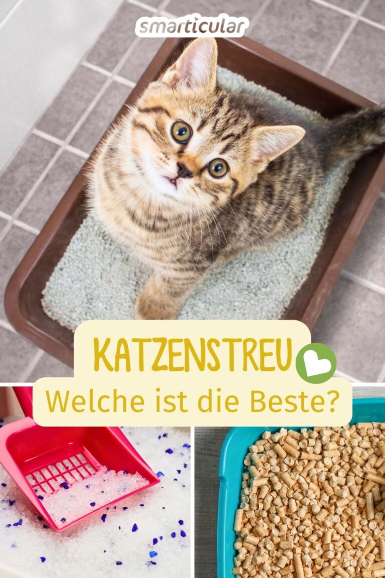 Bestes Katzenstreu Gegen Geruch Forum
