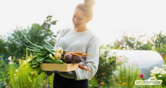 Mit einem Selbstversorger-Garten holst du das Beste aus deinem Grundstück heraus: Die wichtigsten Tipps für eine erfolgreiche Umsetzung!