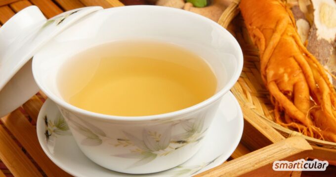 Ginseng ist eine der bekanntesten Heilpflanzen der Welt und wird seit Jahrhunderten in der traditionellen chinesischen und koreanischen Medizin verwendet. Er soll die geistige und körperliche Leistungsfähigkeit steigern, das Immunsystem stärken und Stress reduzieren. Wie du die Wunderwurzel für dich nutzt, erfährst du hier.