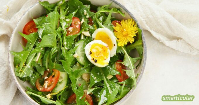 Ein Löwenzahnsalat versorgt dich mit gesunden Bitterstoffen und zahlreichen weiteren Mikronährstoffen - so einfach kannst du ihn zubereiten.