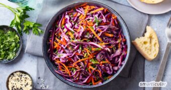 Mit einem Rotkohlsalat verwandelst du zwei typische Wintergemüse in einen bunten, knackigen, vitalstoffreichen Rohkostsalat.