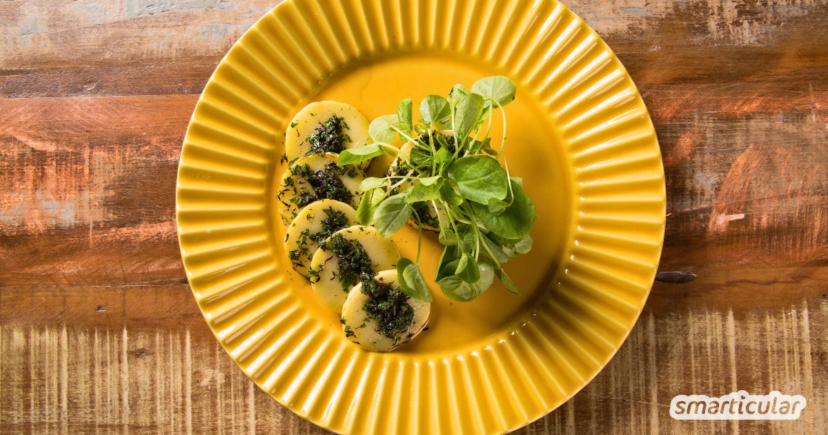 Dieses Rezept für Brunnenkresse-Pesto bringt frische Würze auf deinen Teller – mit wenigen Zutaten und in nur 15 Minuten zubereitet. Ideal für alle, die Wildkräuter lieben und auf Regionalität setzen.