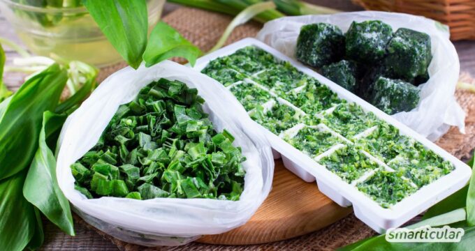Bärlauch einfrieren ist eine einfache Methode das vitalstoffreiche Wildkraut zu konservieren - pur, als Kräuterbutter oder Pesto.