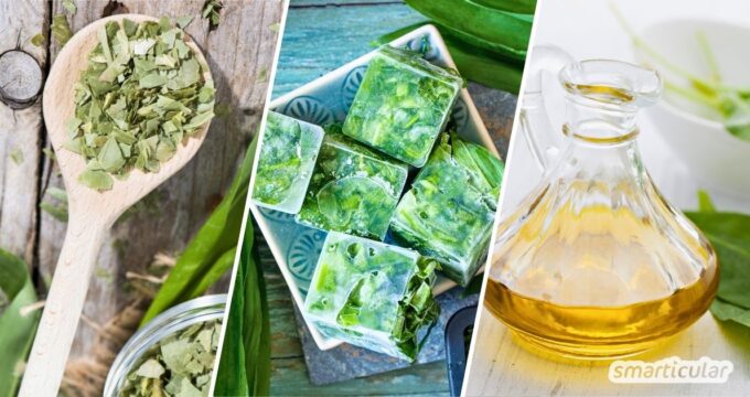 Wenn du das Wildkraut lange über die Saison hinaus genießen möchtest, nutze diese köstlichen Methoden, um Bärlauch haltbar zu machen!