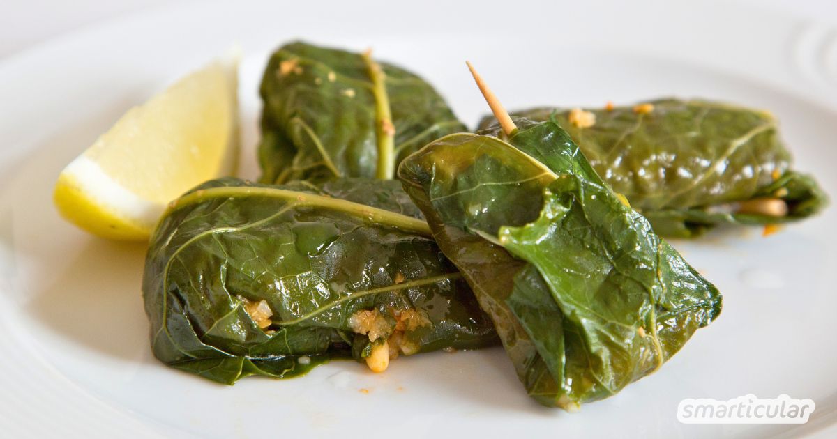 Neben Weinblättern lassen sich auch andere Gemüseblätter lecker füllen! Probiere zum Beispiel dieses Rezept für gefüllte Kohlrabiblätter.