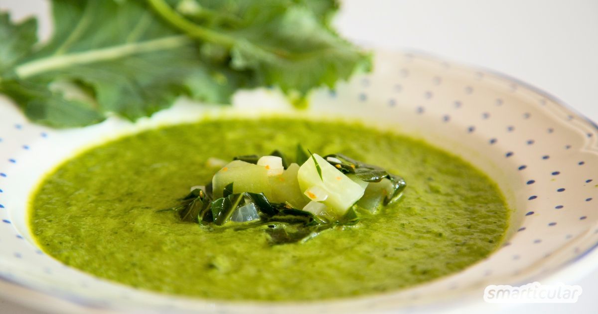 Besonders lecker wird es, wenn du die reine Cremesuppe mit einer Einlage aus gedünsteten Kohlrabiwürfeln und einigen Blattstreifen aufpeppst. Dafür einfach vor dem Pürieren einige Löffel herausnehmen und beim Anrichten in die Suppe geben. Guten Appetit!