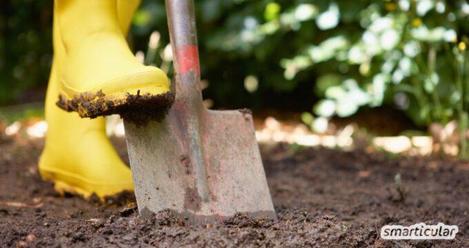 Wenn Umgraben im Garten zu deinen regelmäßigen Routinen gehört, könnte das mehr schaden als nutzen. Warum erfährst du hier.