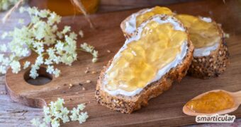 Mit selbst gemachtem Holunderblütengelee fängst du die zarten Frühlingsaromen ein und kannst sie noch viele Wochen genießen.