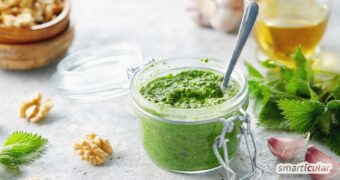 Brennnesselpesto lässt sich einfach zubereiten. Es steckt voller Vitamine und Mineralstoffe und ist ein köstliches Superfood.