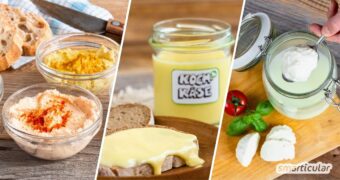 Käse selber machen kann kompliziert sein. Ganz anders mit diesen Rezepten! Lass dich begeistern von Mozzarella, Hüttenkäse Kochkäse und Co.