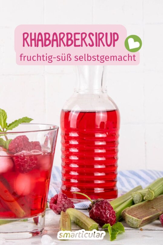 Fabelhafter Rhabarbersirup Ein Rezept Fur Sonnige Tage Und Fruchtige Genussmomente Feed