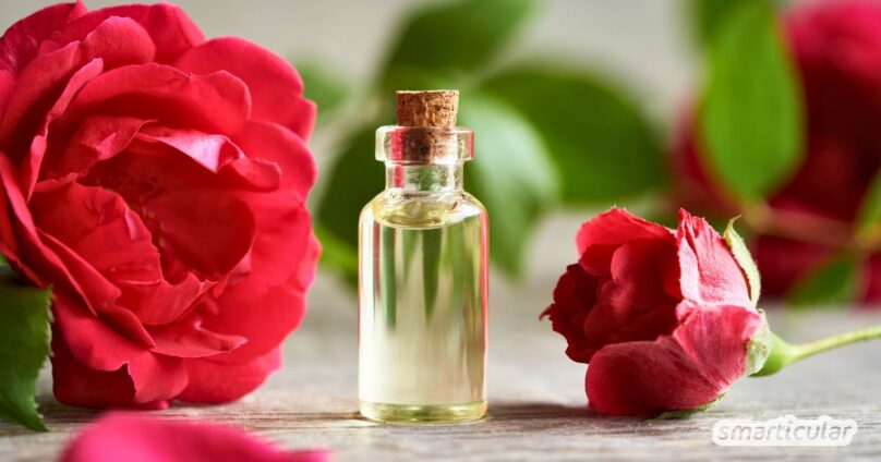 Um ein hautpflegendes Rosenöl selber zu machen, benötigst du nur zwei Zutaten: Pflanzenöl und Rosenblüten - sowie ein wenig Geduld.