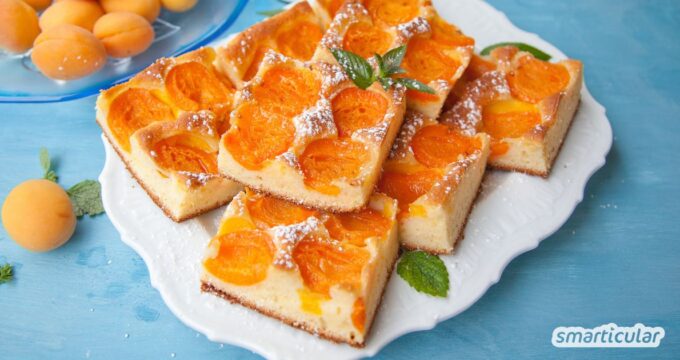 Dieser selbst gebackene Aprikosenkuchen gelingt mit wenigen Zutaten und eignet sich perfekt als Nachmittagssnack aus regionalen Früchten.