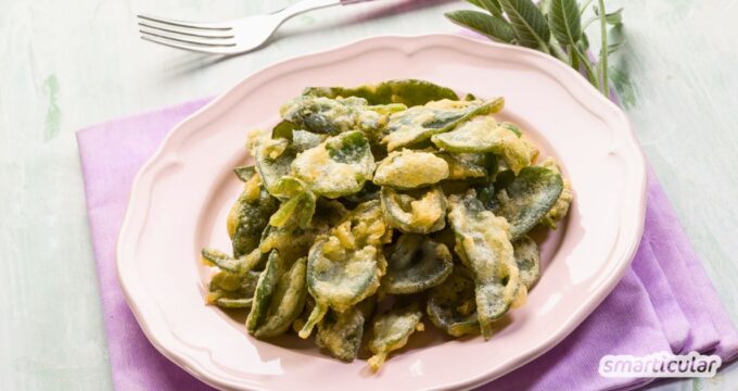 Frittierte Salbeiblätter (Salvia fritta) sind ein köstlicher Snack, den du ganz leicht aus deiner Salbeiernte zaubern kannst.