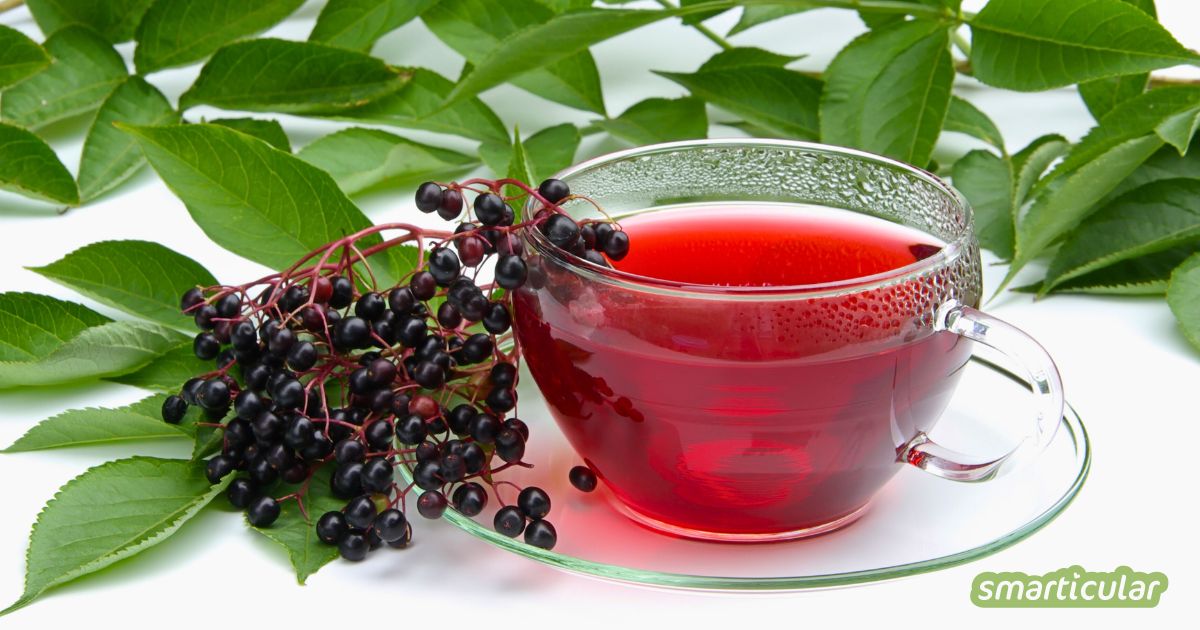 Holunderbeeren enthalten zahlreiche gesunde Inhaltsstoffe. Mit einem Holunderbeerentee kannst du sie dir ganz einfach zunutze machen.