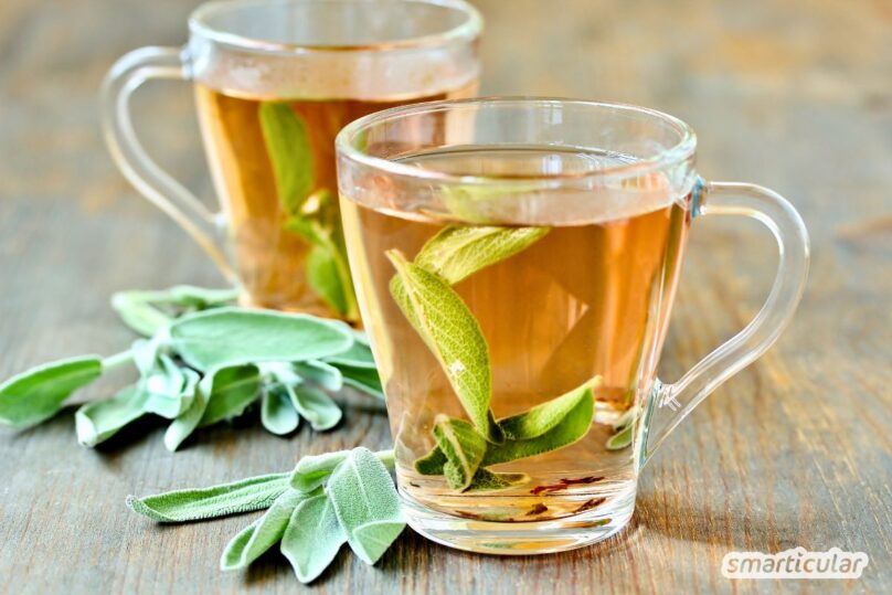 Ein Salbeitee l&auml;sst sich aus frischen oder getrockneten Bl&auml;tter zubereiten. Als Naturheilmittel hilft er bei Halsschmerzen und Husten.