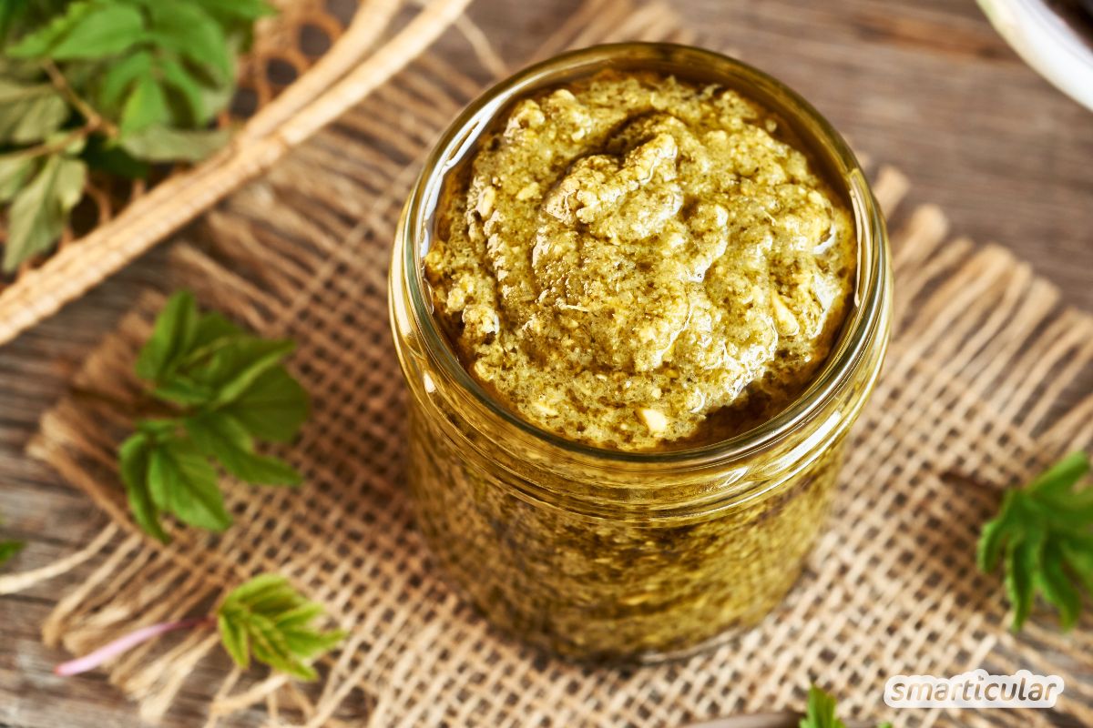 Giersch-Pesto selber machen