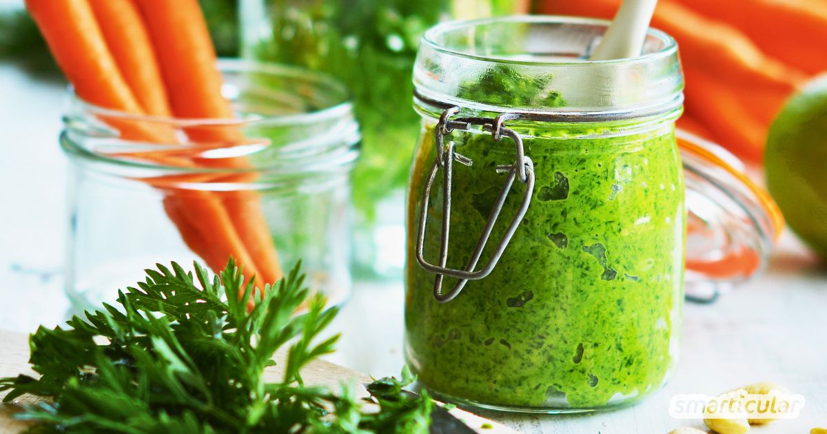 Statt es wegzuwerfen, kannst du aus dem Blattggrün deiner Karottenernte Möhrengrün-Pesto herstellen - köstlich würzig und vitalstoffreich!