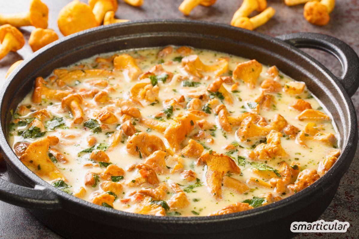 Rezept f&uuml;r Pilzpfanne mit Sahne