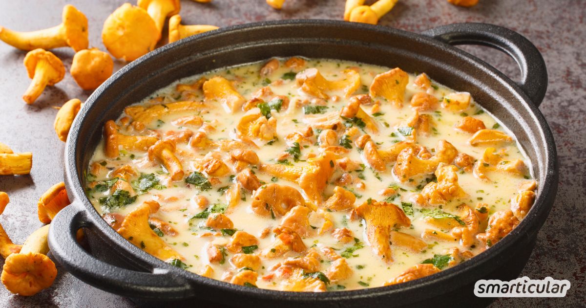 Mit einer Pilzpfanne feierst du die Pilzsaison - egal ob mit Pifferlingen, Steinpilzen, Champigons oder anderen essbaren Exemplaren.