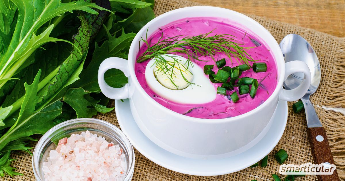 Mit einer erfrischenden Saltibarsciai sorgst du an heissen Tagen für eine leichte und vitalstoffreiche Mahlzeit - ein einfaches Rezept.