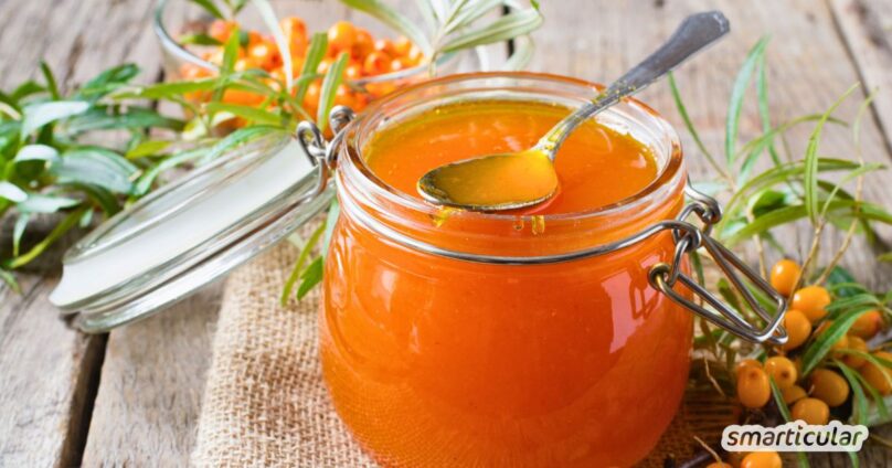 Selbst gemachte Sanddorn-Marmelade ist fruchtig, vitaminreich und vielseitig. Sie bringt Farbe, Geschmack und einen gesunden Kick in deine Küche.