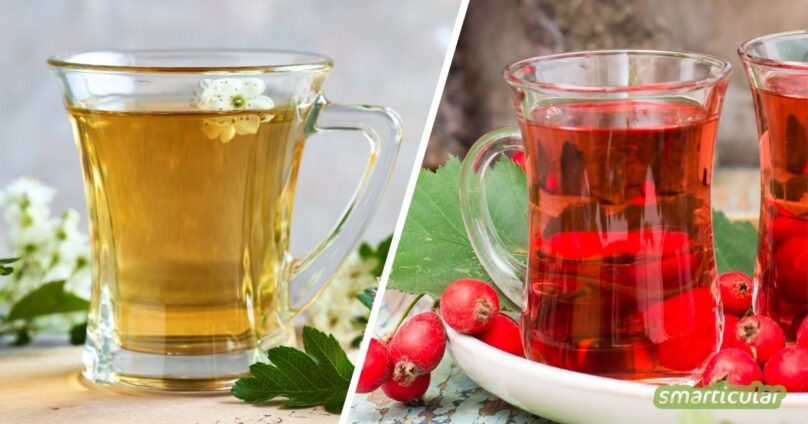 Weißdorn-Tee aus Blüten, Blättern oder Beeren stärkt Herz und Kreislauf, beruhigt die Nerven und lässt sich einfach frisch oder getrocknet zubereiten.