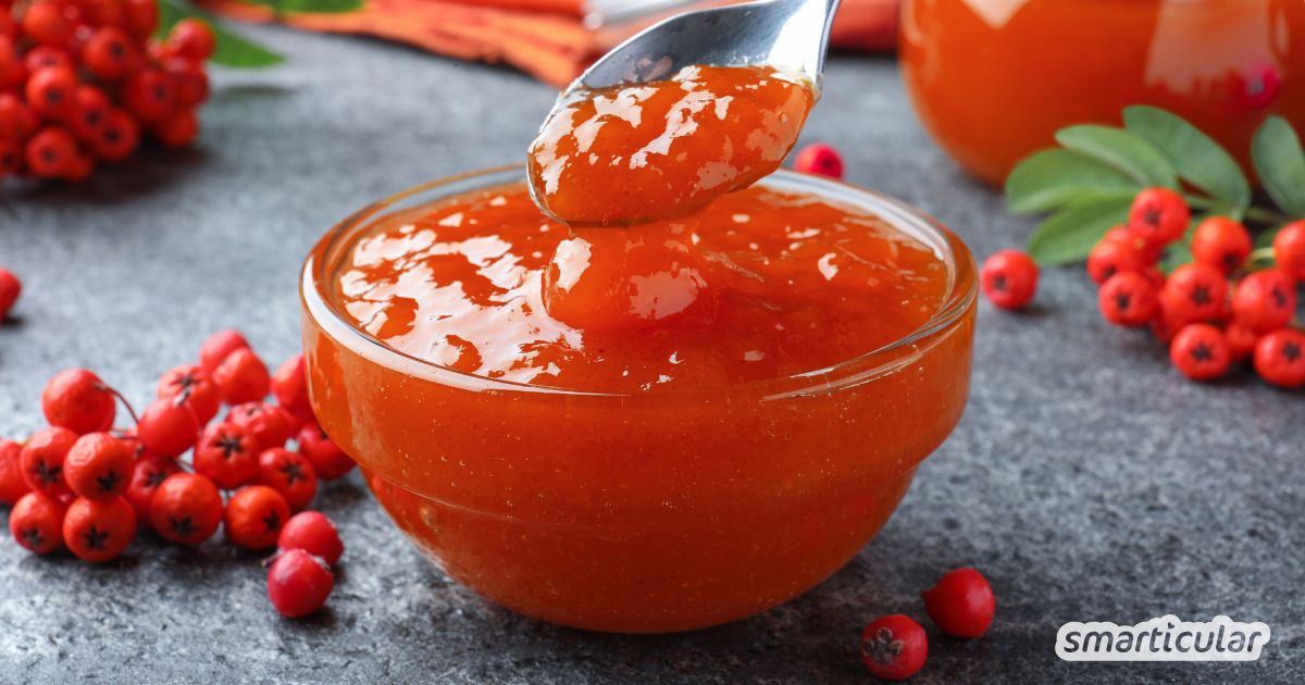 Mit einer Marmelade aus Vogelbeeren bringst du einen süß-säuerlichen Aufstrich auf den Tisch - mit feinen Aromen und jeder Menge Vitamin C.