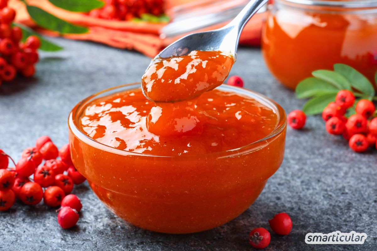 Rezept f&uuml;r Marmelade aus Vogelbeeren