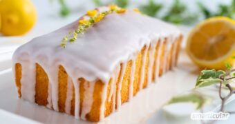 Ein veganer Zitronenkuchen lässt sich aus wenigen Zutaten zubereiten - kinderleicht und super-saftig mit diesem einfachen Tassenrezept!