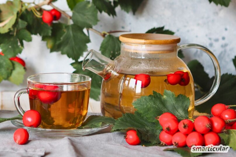 Weißdorn-Tee aus Beeren in Kanne und Teeglas