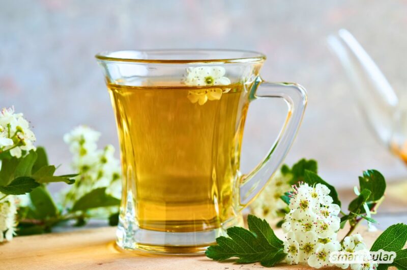 Weißdorn-Tee aus Blüten und Blättern