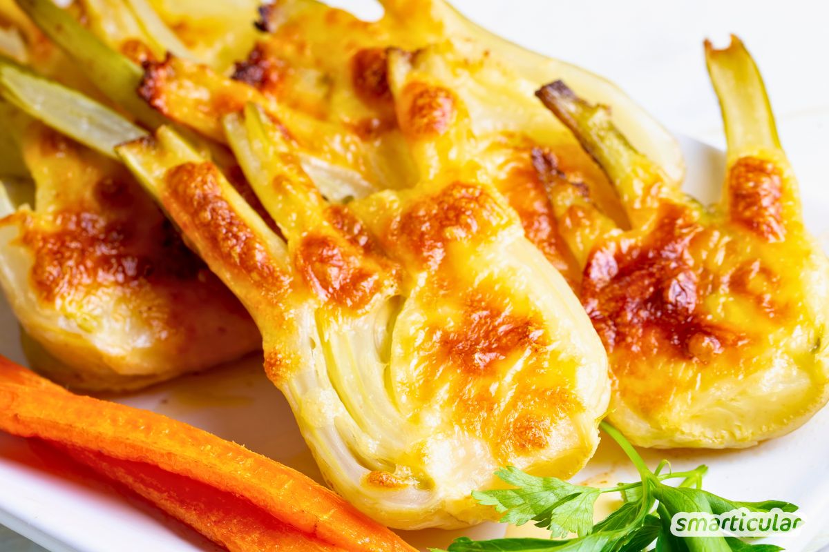 Fenchel überbacken mit Käse