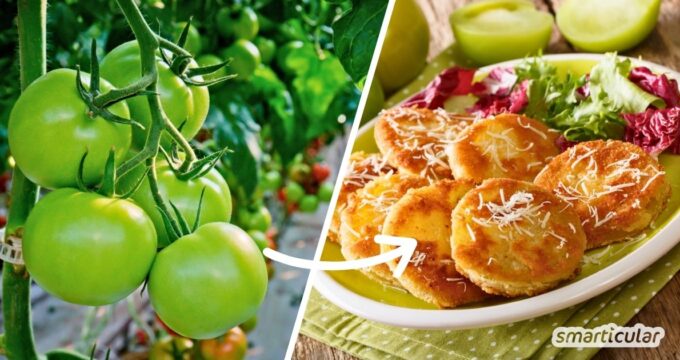 Gebackene grüne Tomaten sind ein besonderer Genuss - und die perfekte Gelegenheit, unreife Tomaten zum Saisonende noch lecker zu verwerten.