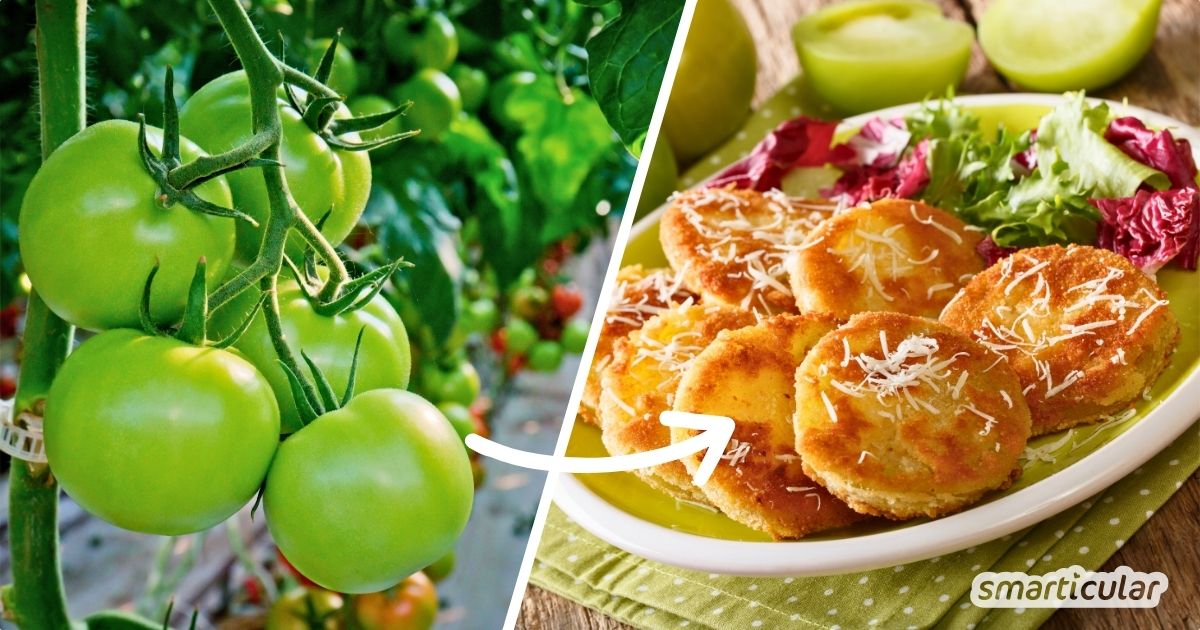 Gebackene grüne Tomaten sind ein besonderer Genuss - und die perfekte Gelegenheit, unreife Tomaten zum Saisonende noch lecker zu verwerten.