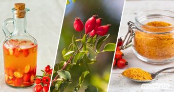 Hagebutten enthalten neben Vitamin C weitere Vitalstoffe und eignen sich für die Küche ebenso wie für die Körperpflege - Tipps und Rezepte.