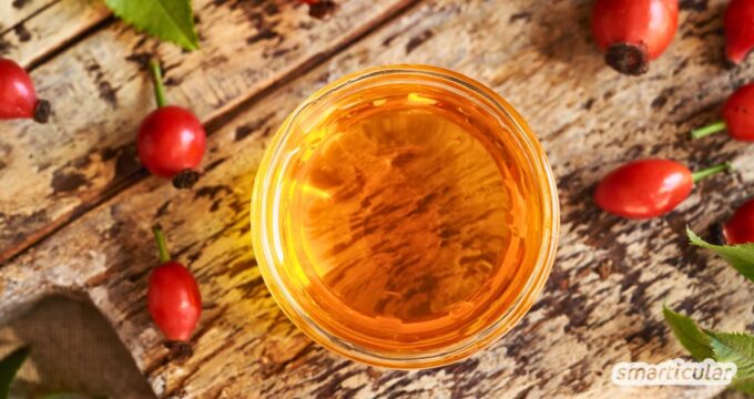 Aus Pflanzenöl und frischen Hagebutten lässt sich in wenigen Schritten ein hautpflegendes Hagebuttenöl selber machen. Gleich ausprobieren!