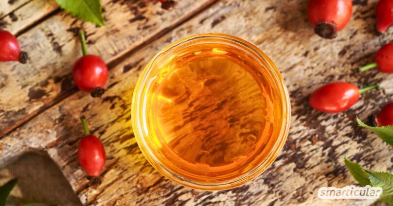 Aus Pflanzenöl und frischen Hagebutten lässt sich in wenigen Schritten ein hautpflegendes Hagebuttenöl selber machen. Gleich ausprobieren!