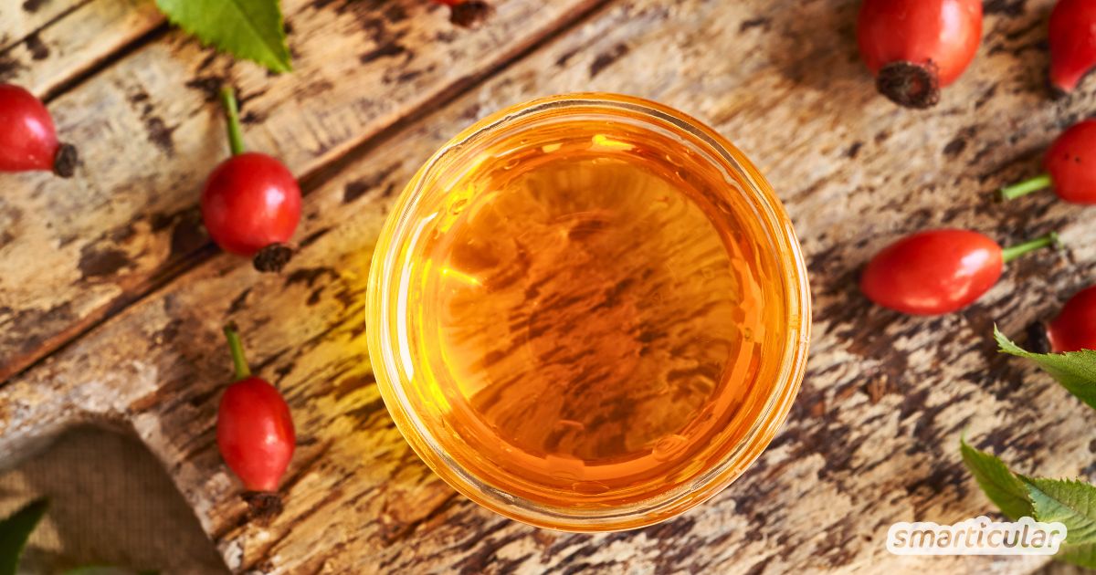 Aus Pflanzenöl und frischen Hagebutten lässt sich in wenigen Schritten ein hautpflegendes Hagebuttenöl selber machen. Gleich ausprobieren!