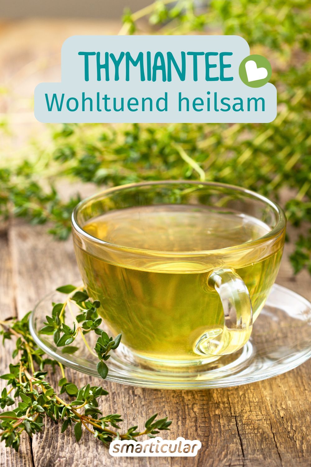 In der Erkältungszeit ist ein Thymiantee der ideale Helfer. Er wirkt schleimlösend, antibakteriell und unterstützt die Selbstheilungskräfte.