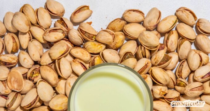 Cremige Pistazienmilch selber machen, vegan, lactosefrei und perfekt für zahlreiche Gelegenheiten. So geht’s Schritt für Schritt.