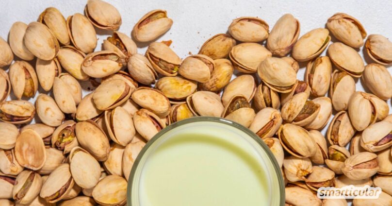 Cremige Pistazienmilch selber machen, vegan, lactosefrei und perfekt für zahlreiche Gelegenheiten. So geht’s Schritt für Schritt.